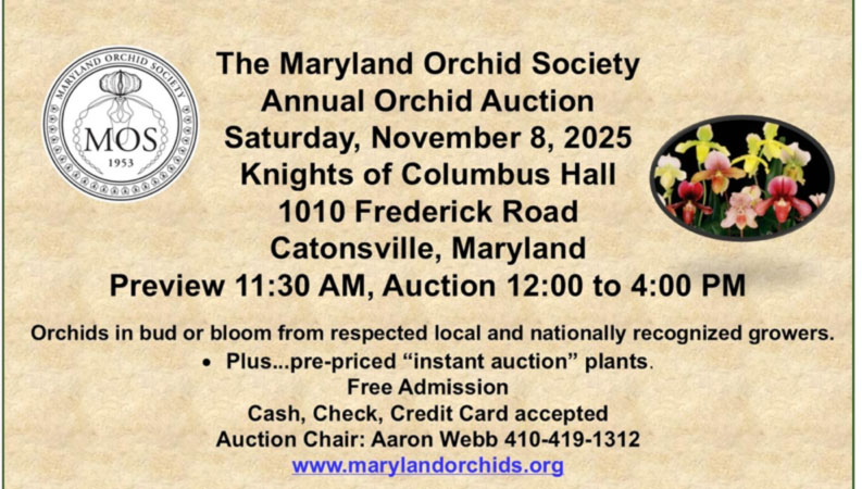 Maryland Orchid Society Annual Auction Flyer 2025